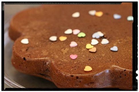 Fondant chocolat ricotta -moule fleur/à parts/carré flexipat/soleil/étoile-