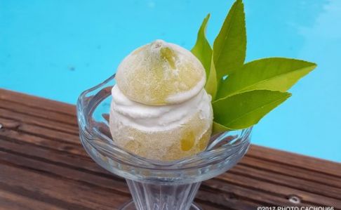 Citrons givrés - Cook'in